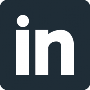 Icon LinkedIn